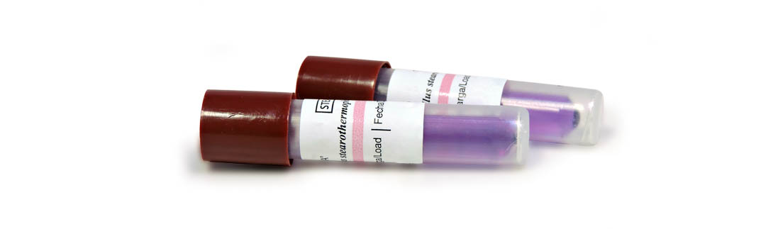 Biological indicator